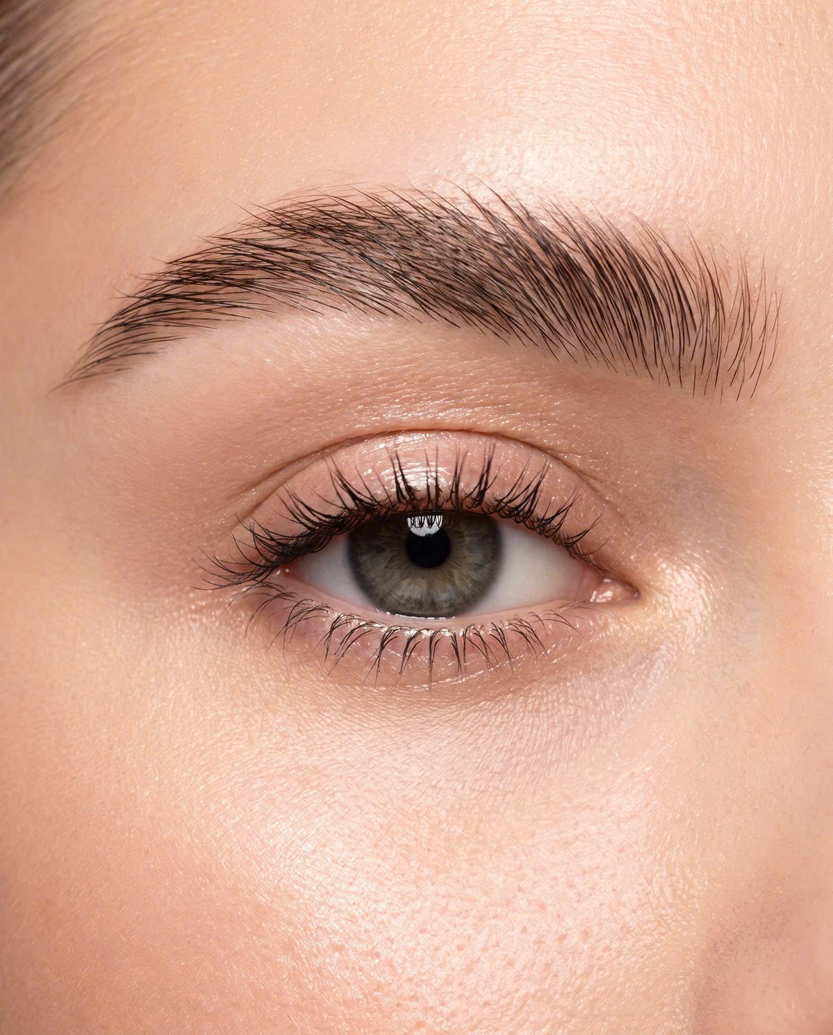 Eyebrow and PMU Artistry
